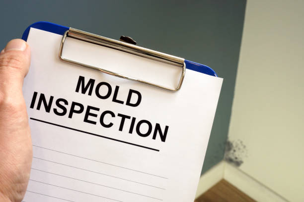 Best Attic Mold Removal  in , WI